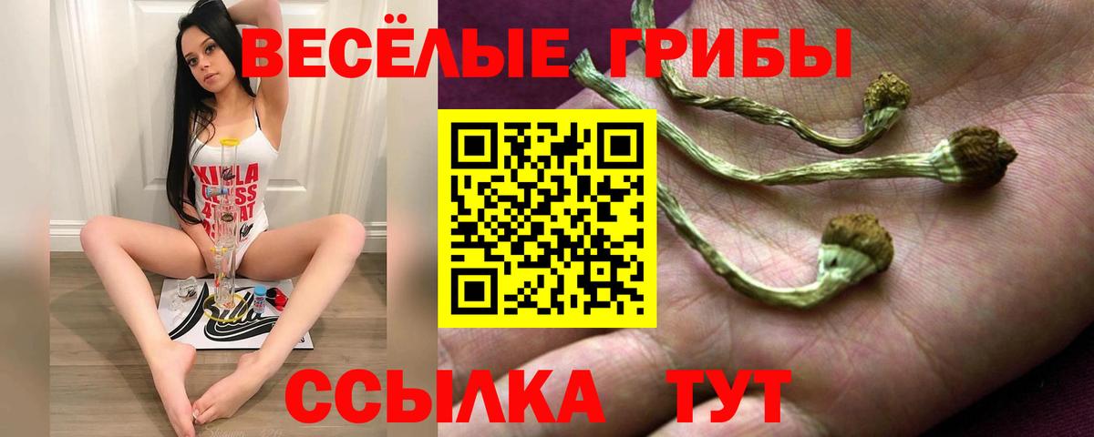 Псилоцибиновые грибы мицелий Сибай