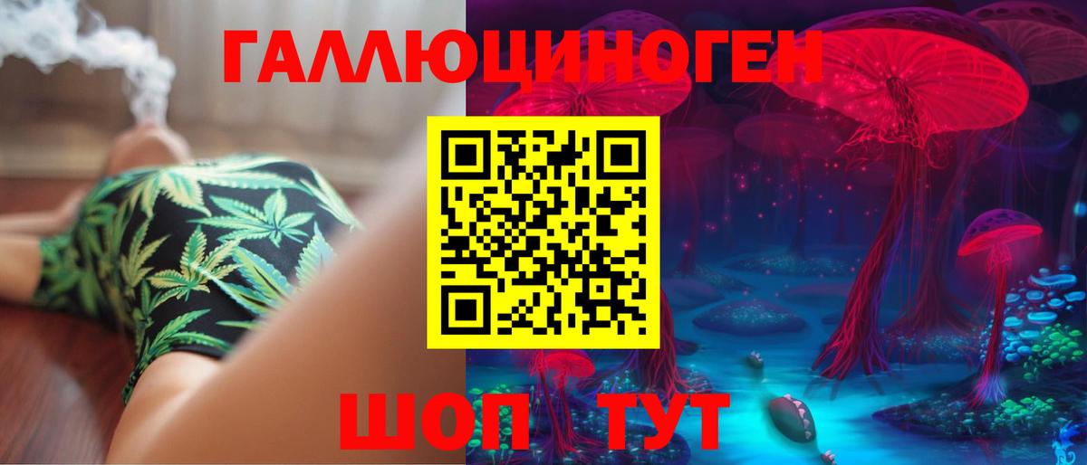 Сибай  Галлюциногенные грибы Psilocybine cubensis  Вход с VPN 